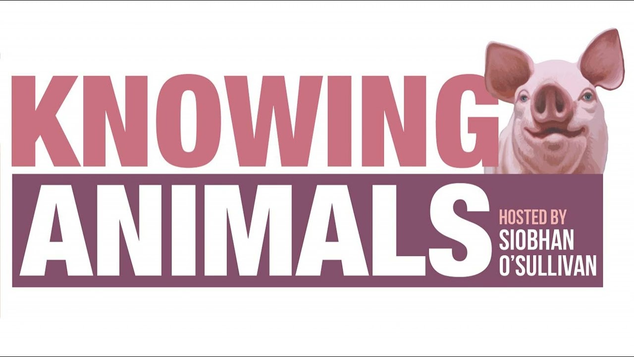 Episode 191: Measuring subjective animal welfare with Heather Browning