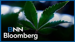 'The company is one of the strongest balance sheets in the cannabis industry': Aurora Cannabis CEO