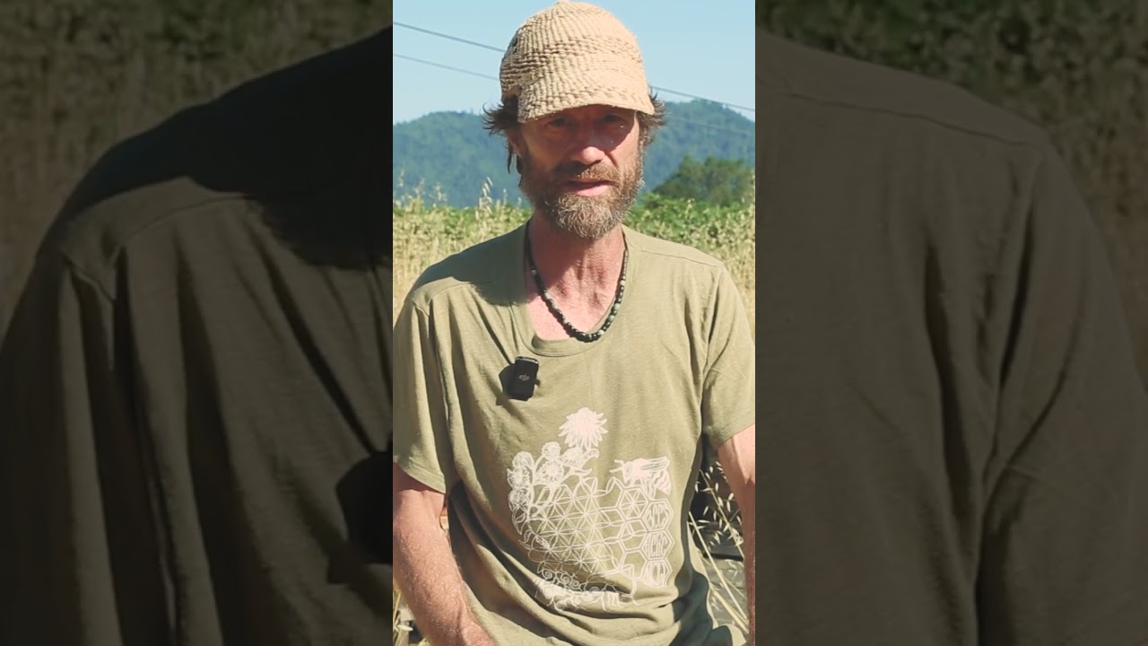 Where is Diggin’ Livin’ honey produced? From wild places and organic farms in Southern Oregon 💕🐝