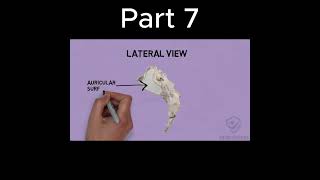 You’re Studying Sacral Vertebra WRONG! (Fix This) Part 7 #doctor #mbbs #anatomy