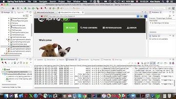 Spring Tools 4: Live Information Hovers for Remote Apps