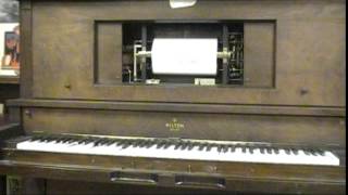 Camellia Fox Trot (Tom Brier) player-piano roll