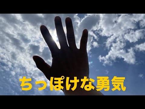 ちっぽけな勇気【FUNKY  MONKEY  BABYS/ファンキーモンキーベイビーズ】　cover     〜ギター・ハーモニカ・鈴 ＋ garage band(ドラム)〜