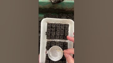 Our Soil Block Maker Kit now available with cool-season hardy annual seeds!