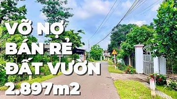 (Đã Bán) Vỡ Nợ Vì Cờ Bạc – Buộc Phải Bán Gấp Đất Vườn Giá Rẻ Bà Rịa Vũng Tàu