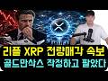 [리플 XRP] 골드만삭스 갑자기 리플 전량매각 속보! 13F 보고서 뒤에 숨은 리플 100조 인프라 베팅