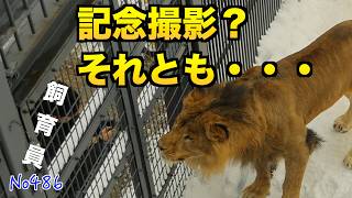 No.486 Ito wanted to play, but Perche didn't respond and the
