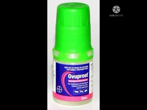 اوفوبروست  هرمون بروستاجلاندين لتحليل الجسم الاصفر تخلص من الحمل غير المرغوب