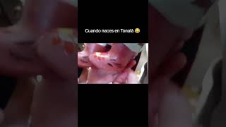 #tonala #jalisco #gdl #short #shorts #shortsvideo #shortvideo #shortsfeed #shortsviral #shortvideos