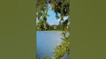 We interrupt your doom scrolling for a peaceful view of the Skyliner 🙌😌🚡 #disney #disneyworld