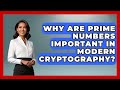 Why Are Prime Numbers Important In Modern Cryptography? | The Numbers Channel News
