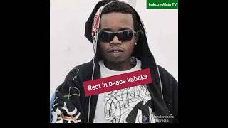 Rip Jay Polly By Green P