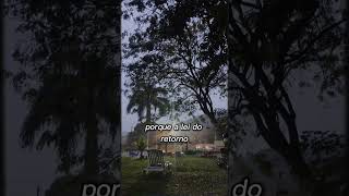Deus e seus sinais! A Colheita é grande p quem prativa a maldade da língua e planeja a desgraça!