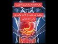 رقية المعدة والبطن و القولون رقية المعدة والبطن و القولون