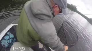 Eagle Lake Big Muskie Fight.