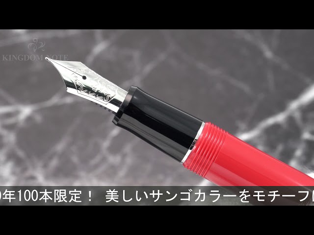 PILOT パイロット 万年筆 大丸藤井セントラルオリジナル 北の彩景事典