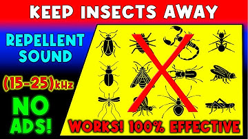 ANTI INSECTS REPELLENT SOUND ⛔🦟 KEEP INSECTS AWAY - ULTRASONIC SOUND
