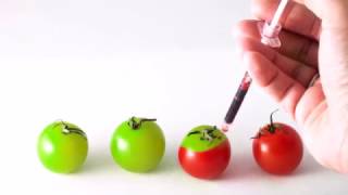 GMO Propaganda