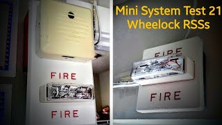 Famous Mini System Test 21| Wheelock RSSs Wealth