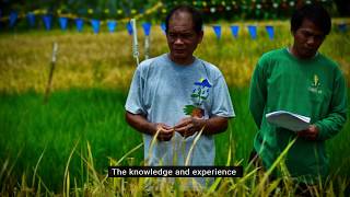Catalyzing agricultural transformation through knowledge #CUREStory in Thailand