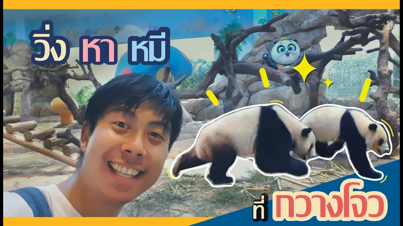 วิ่งตามหาหมีแพนด้า !!! ในสวนสัตว์ที่ 'กวางโจว' | อาสา พาไปหลง