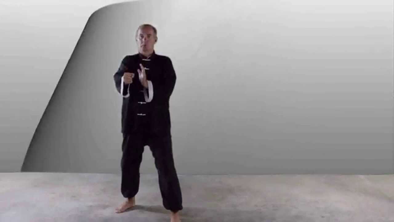 Gestures 29 & 30 Turn & Chop with Fist & Intercept & Punch YouTube