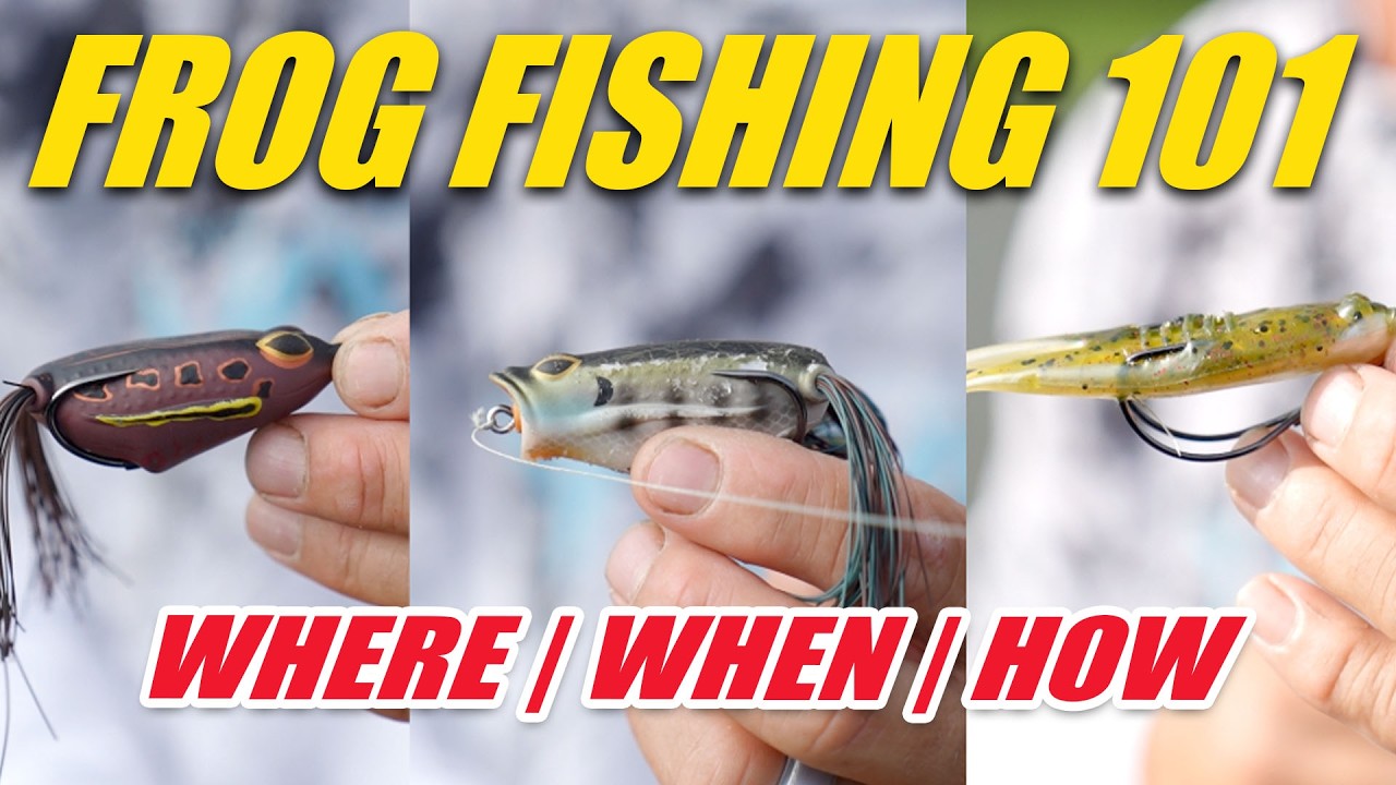 Frog Fishing 101 | Summer Bass Fishing