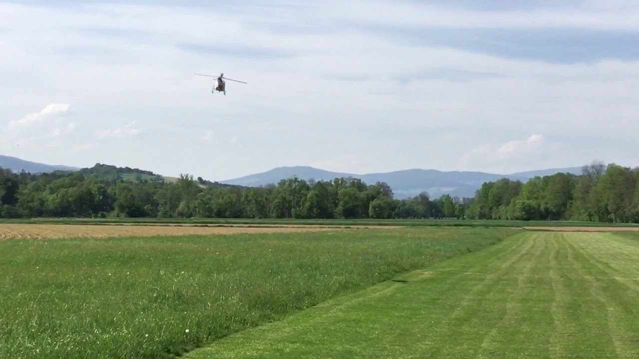 Vario Lama- Trex 700 DFC