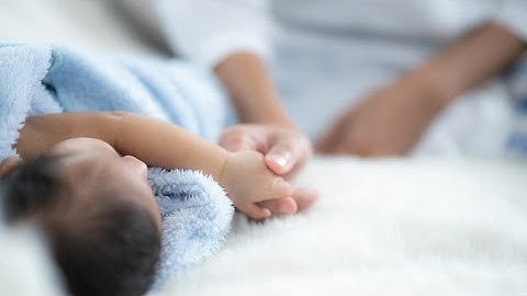 أجمل تلاوة جديده اسلام صبحي ( سورة الزخرف ) تلاوة هادئه