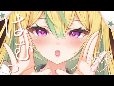 【 ASMR/黒3Dio 】この耳はむ、至福♡【翠兎みおん/めいどるーちぇ】