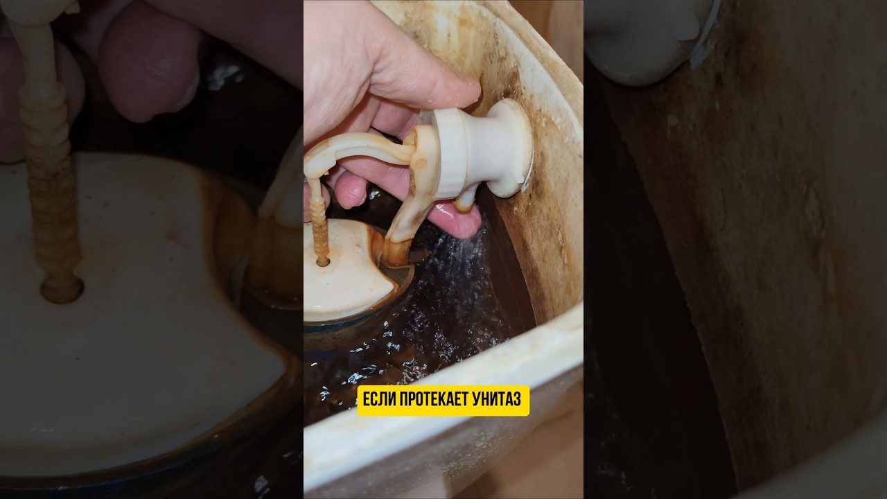 Если протекает унитаз? 