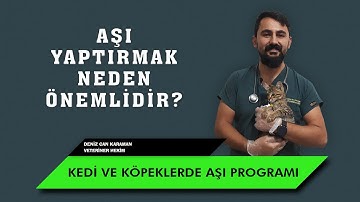 Kedi ve Köpeklerde Aşı Protokolleri ve Aşıların Önemi