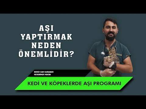 Kedi ve Köpeklerde Aşı Protokolleri ve Aşıların Önemi