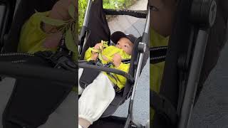 Lecoco Treklite-T2 Max-F Lightweight Stroller 3-Sec Fold, Adjustable Handle, 5-Point Safety 6M