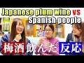 Qué es el Umeshu - (Japanese Plum Wine) ¡Licor de albaricoque!【スペイン語&英語】
