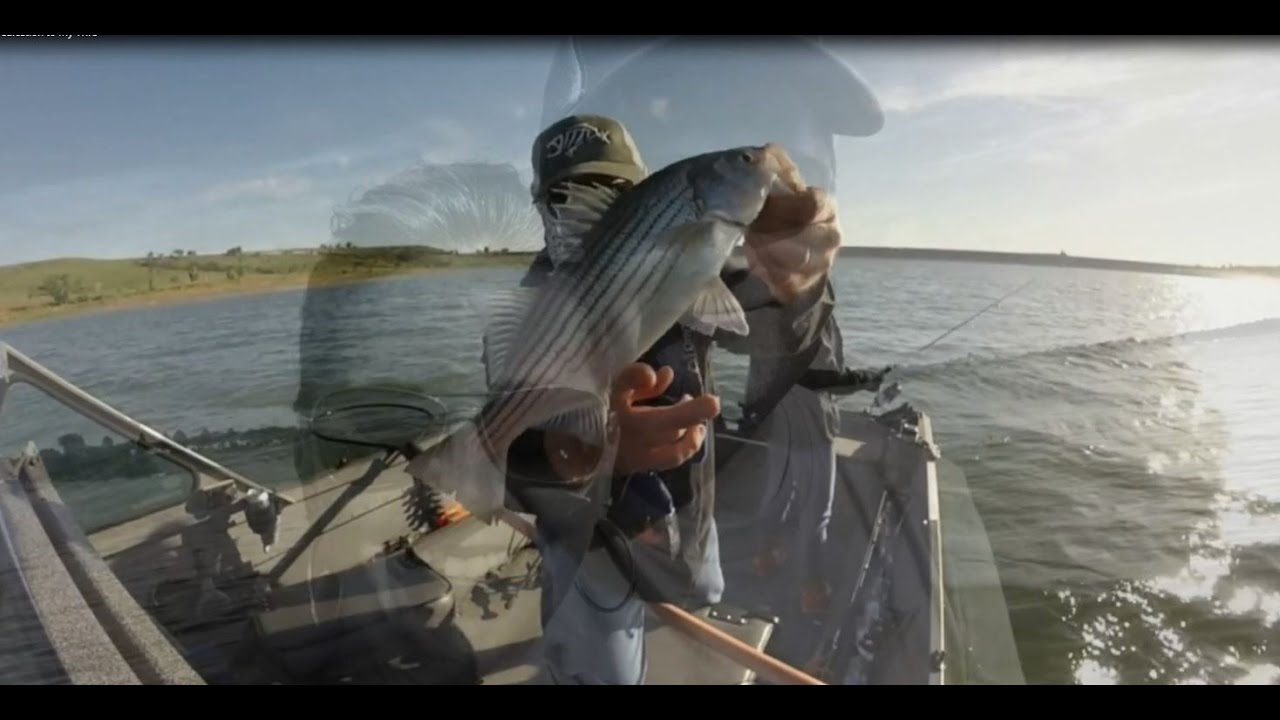 Wilson Lake KS USA Striped Bass / Dedication / Saugercon 2016 YouTube