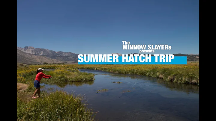 SUMMER HATCH TRIP 2020! | Eastern Sierras | GIRLS ...