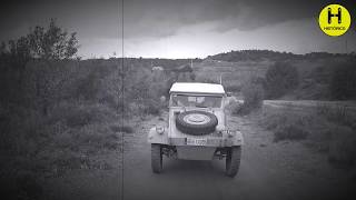 Kübelwagen Vw Type 82 Volkswagen Automóvil Todoterreno