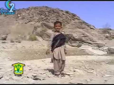 Baloch2day Com Washbo Kulbare Dazani Arif Baloch