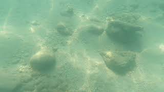 Kemer Ay Işığı Plajı Deniz Dibinden Görüntüler Zargana Yuvası