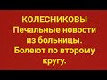 Семья Колесниковых/Обзор.