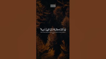 {وَٱلَّـٰتِی تَخَافُونَ نُشُوزَهُنَّ فَعِظُوهُنَّ} | محمد صديق المنشاوي | سورة النساء.