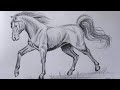 How to draw a Horse step by step | Pencil Shading Drawing