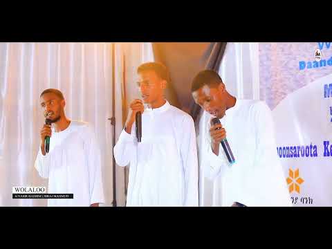 Dungoo Naahiidaa Haaraa Hardha Sa Aa 8 300 Irratti Nu Eegaa