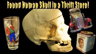 Found a Human Skull in a Thrift Store! - Oddie Beau on the Hunt