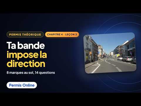 Flèches, hachures, damiers : les autres marques qui piègent - Permis Online Chapitre 4
