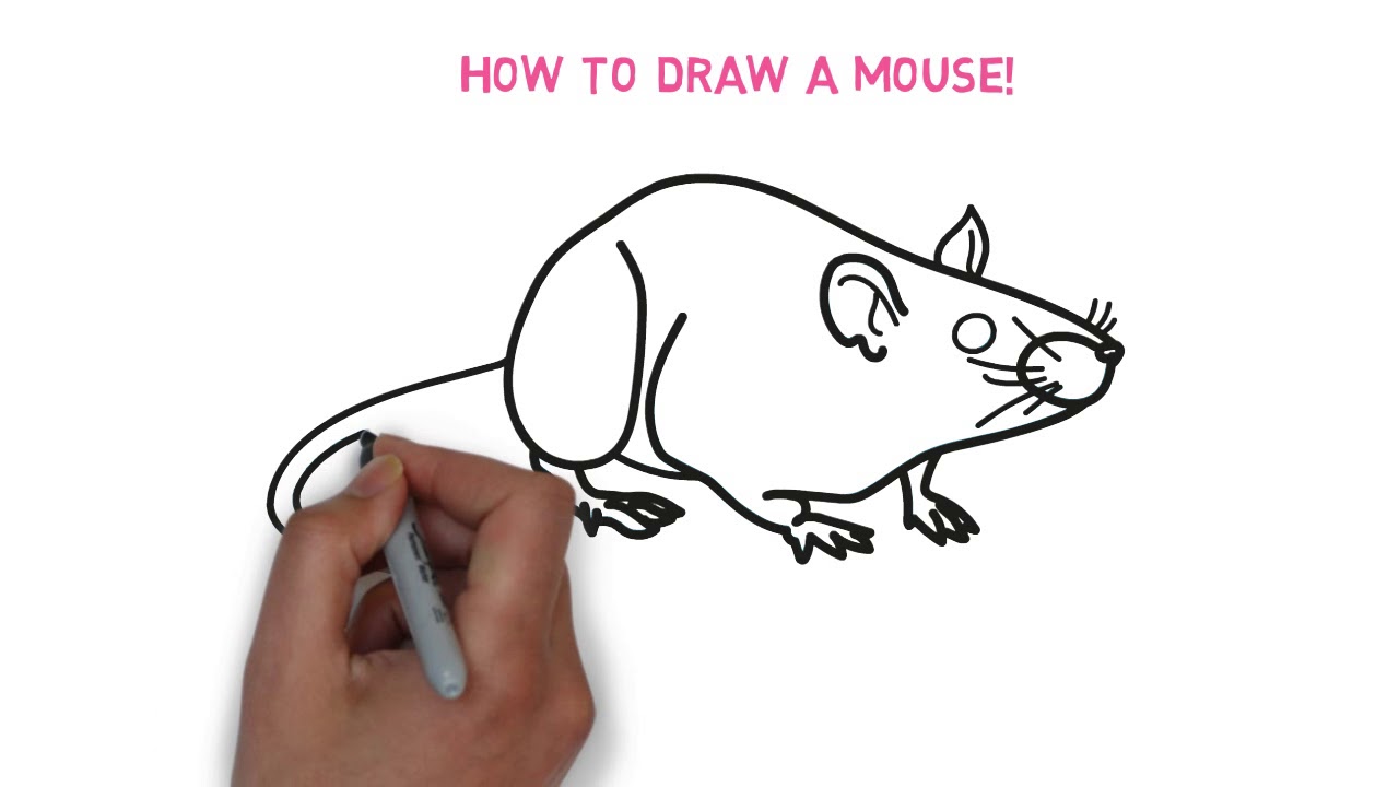 How to draw a MOUSE - Hướng dẫn các bé vẽ CHUỘT - Channel for kids and moms