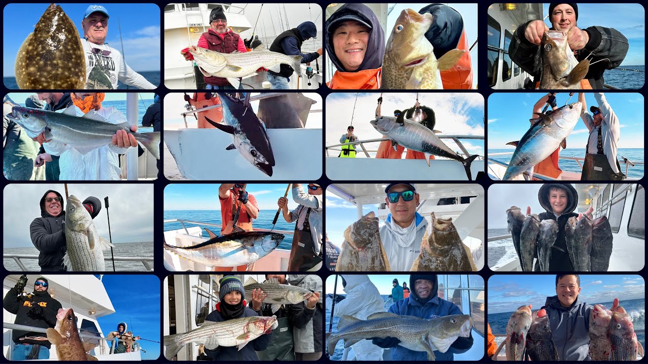 Captain Lou’s fishing video