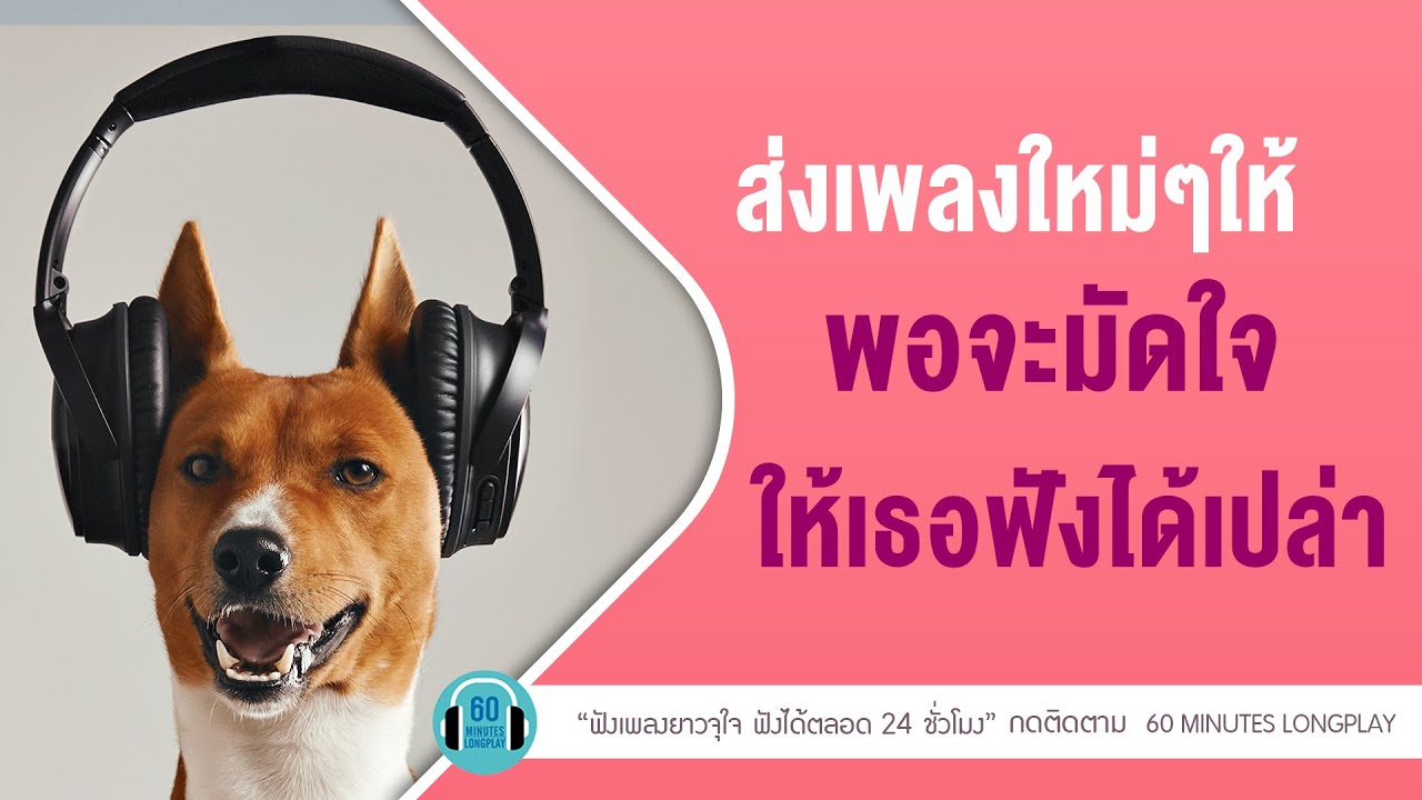 ส่งเพลงใหม่ๆให้ พอจะมัดใจให้เธอฟังได้เปล่า l สองใจ ,ชั่วชีวิต l [DA ENDORPHINE,COCKTAIL ]【LONGPLAY】