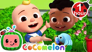 anansi song more cody and friends sing with cocomelon